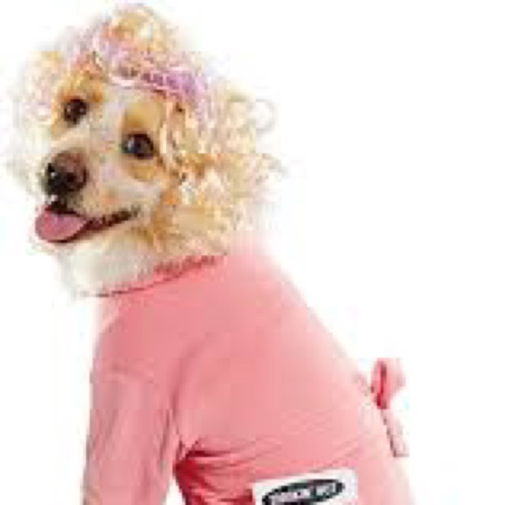 🎃Dog Blonde wig with Curlers